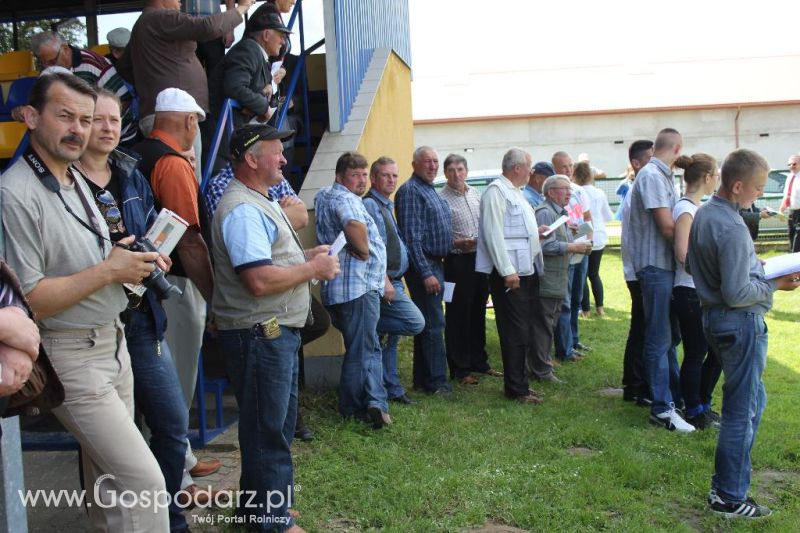 Regionalna Wystawa Zwierząt Hodowlanych i Dni z Doradztwem Rolniczym w Szepietowie-sobota