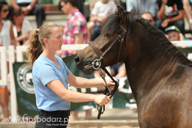 Zielone AGRO SHOW – POLSKIE ZBOŻA 2014 w Sielinku - niedziela