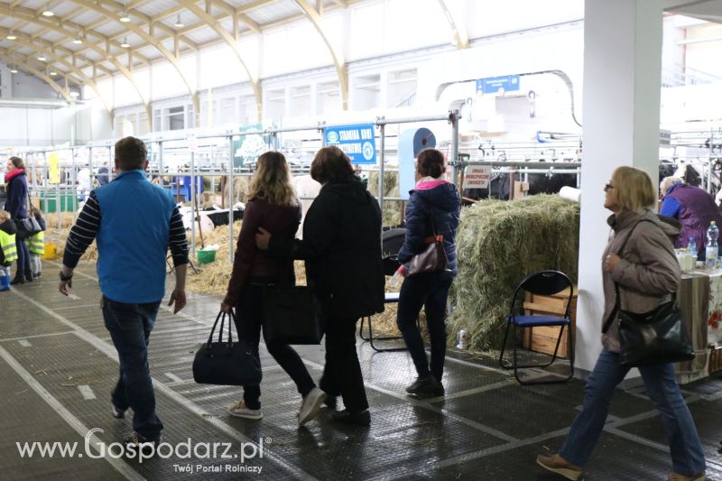 Krajowa Wystawa Zwierząt Hodowlanych w Poznaniu 2017 (niedziela, 7 maja)