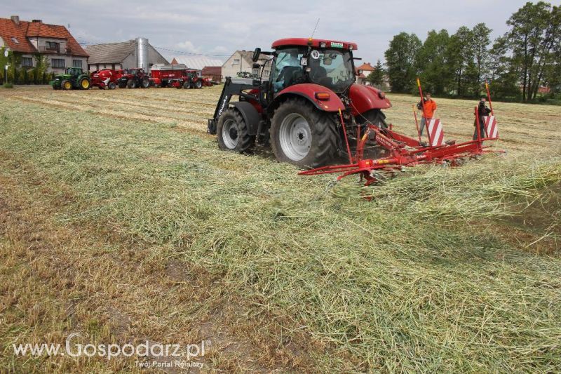 Pokazy polowe Romanów k/Krotoszyna