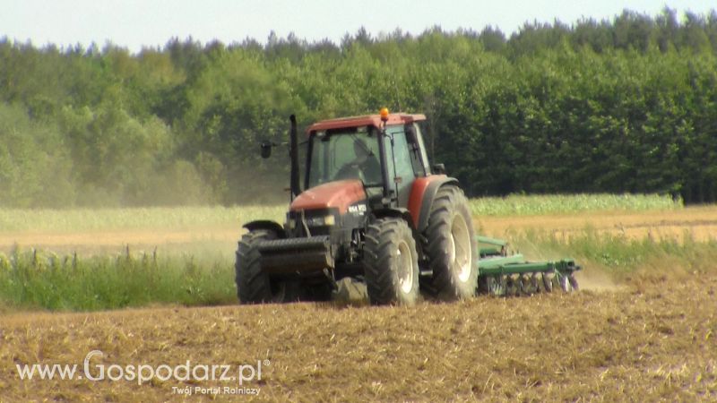 Talerzowane 2013 