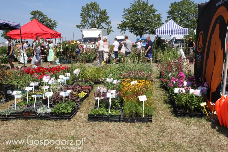 Targi Agro -Tech w Minikowie 2015