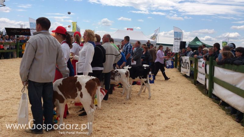 Opolagra 2014 okiem Redaktora Portalu Gospodarz.pl