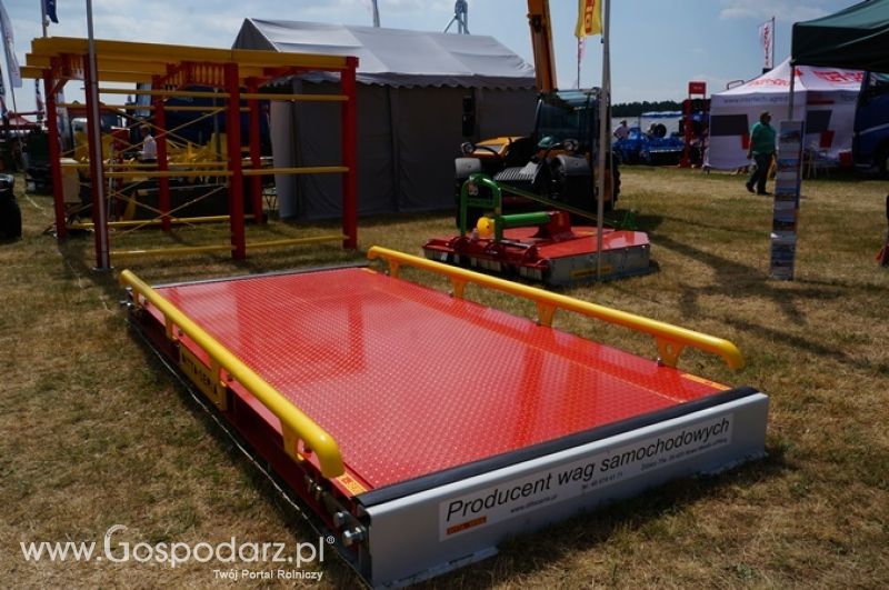 Ditta-Seria na OPOLAGRZE 2015