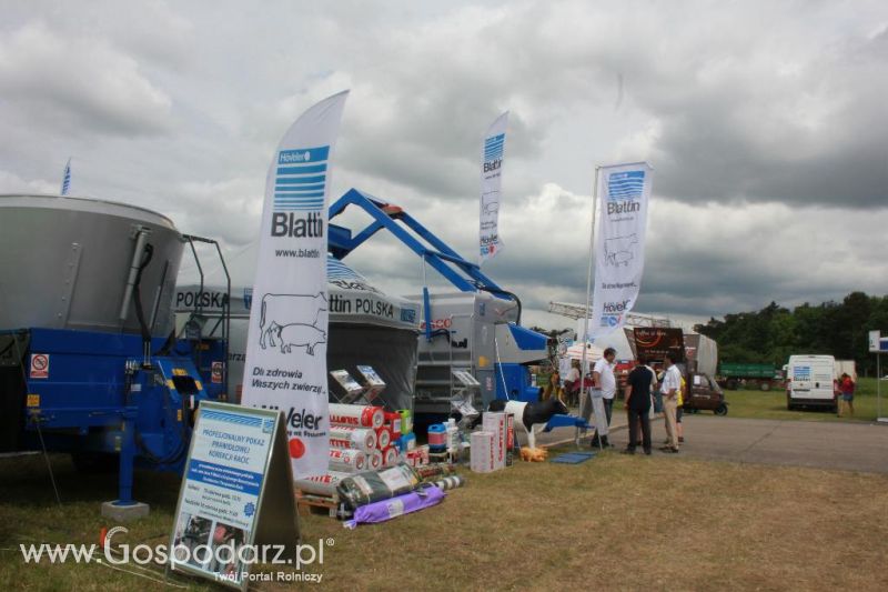 Blattin na Opolagrze 2013