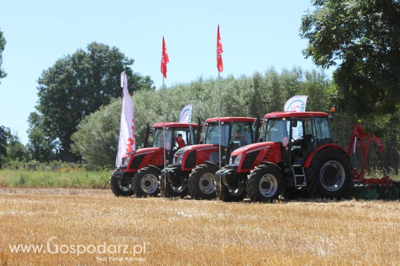 Zetor Family Tractor Show 2013 - Opatów