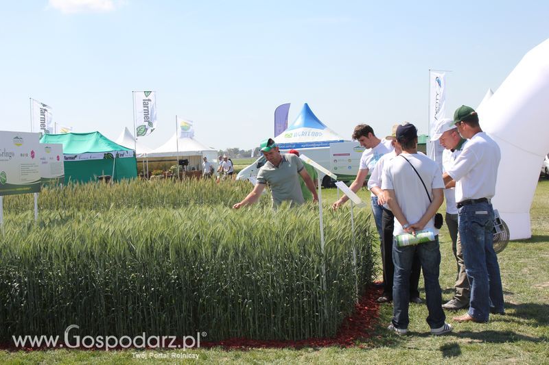 Polskie Zboża 2011 - Sobota