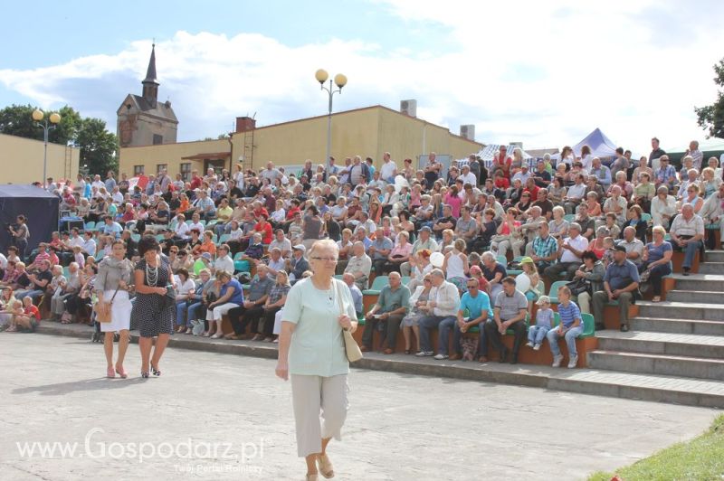IX Święto Gęsi w Biskupcu