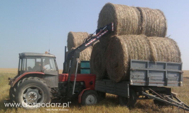 Nowy Tur do C-360