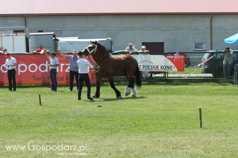  Regionalna Wystawa Zwierząt Hodowlanych W Szepietowie 2016 z Gospodarz.pl