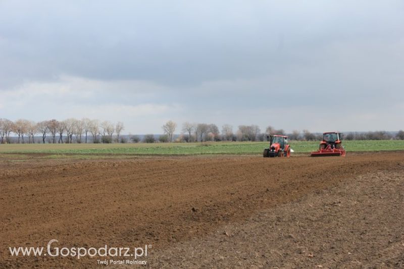 Pokaz polowy ciągników marki KUBOTA