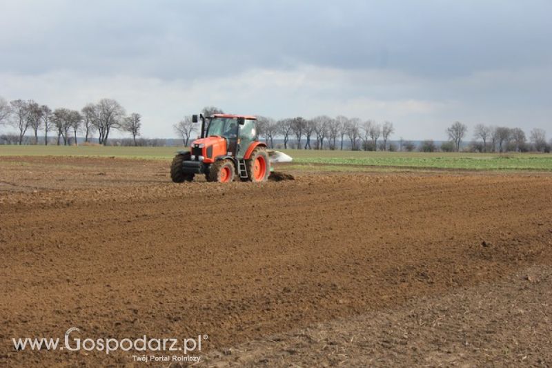 Pokaz polowy ciągników marki KUBOTA