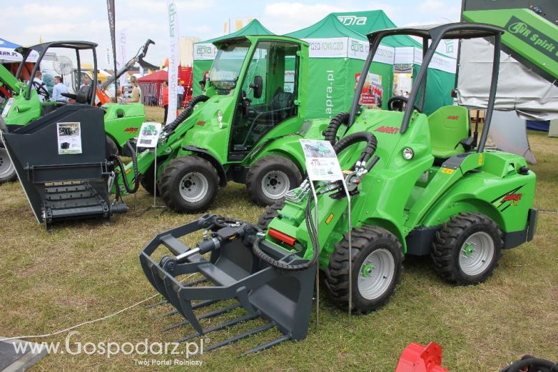 Serafin na Opolagrze 2013