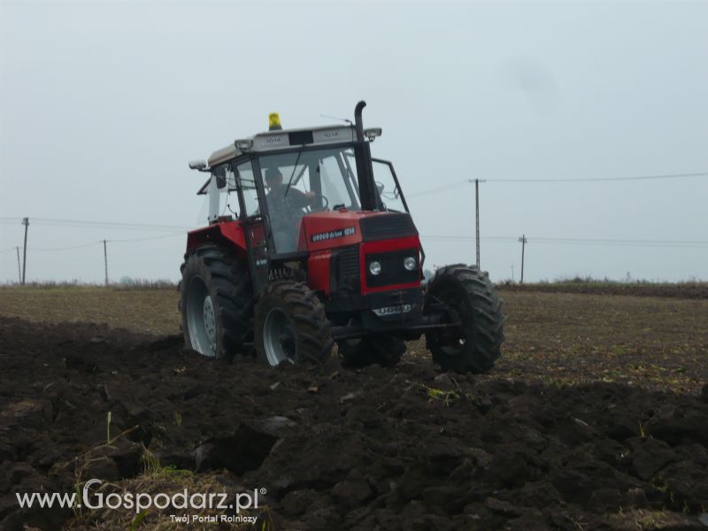 MrZgredy de luxa mają więc w polu sobie rade dają Orka Zimowa 2011