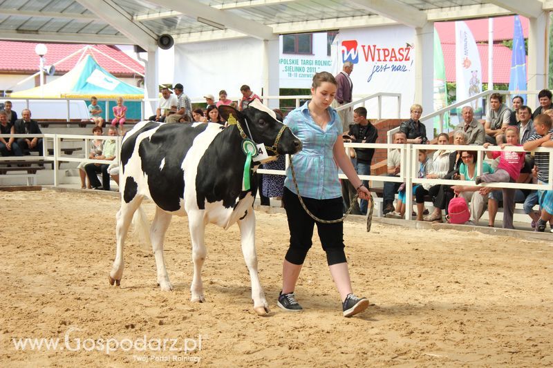 Czempioni XVII Regionalnej Wystawy Zwierząt Hodowlanych Sielinko 2011