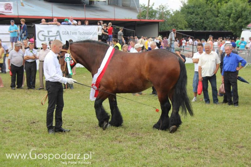 Regionalna Wystawa Zwierząt Hodowlanych i Dni z Doradztwem Rolniczym w Szepietowie-niedziela