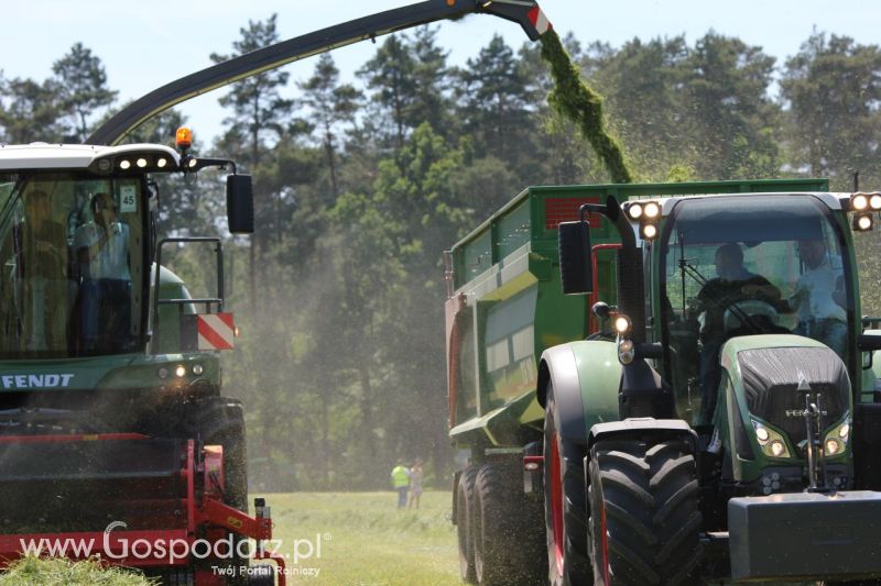 Zielone AGRO SHOW – POLSKIE ZBOŻA 2014 w Sielinku - sobota