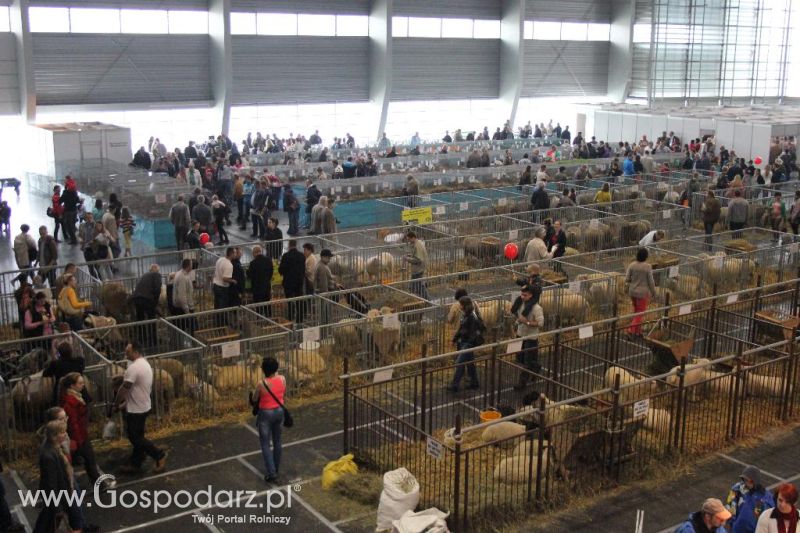 XXVI Krajowa Wystawa Zwierząt Hodowlanych - sobota i niedziela