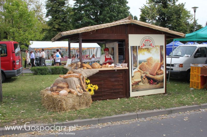 XIV Wojewódzko-Diecezjalne Dożynki Wielkopolskie w Ostrowie Wielkopolskim