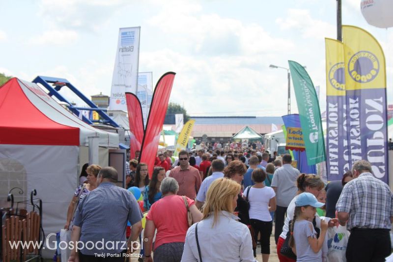 Regionalna Wystawa Zwierząt Hodowlanych i Dni z Doradztwem Rolniczym w Szepietowie-sobota