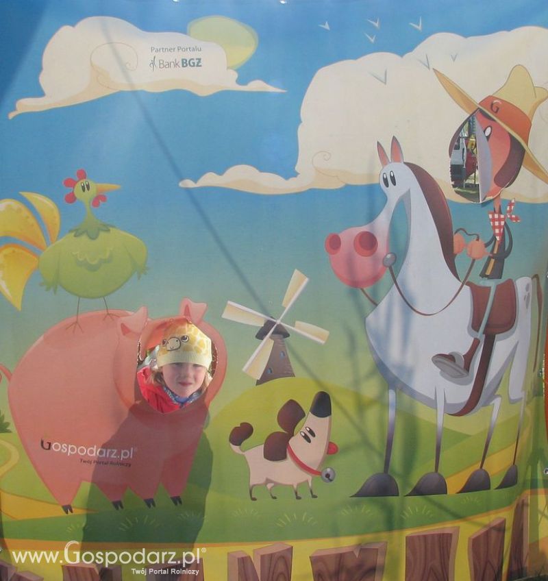 Zdjęcia ze świnką na Agro Show 2012 niedziela