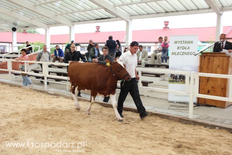 Wystawa bydła Sielinko 2011