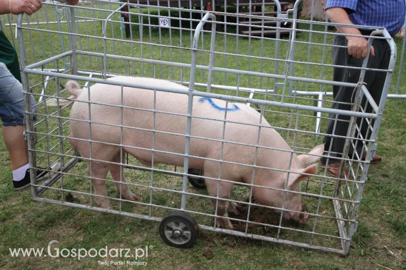 AGRO-TECH w Minikowie 2013