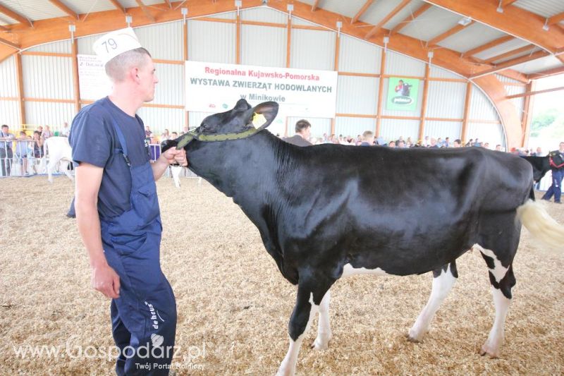 AGRO-TECH Minikowo 2014 - sobota