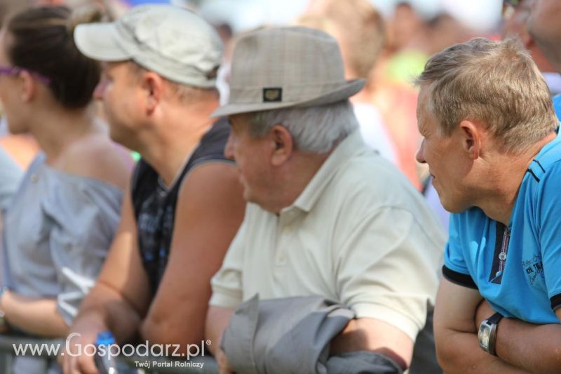 Precyzyjny Gospodarz w Wilkowicach 2013 - niedziela