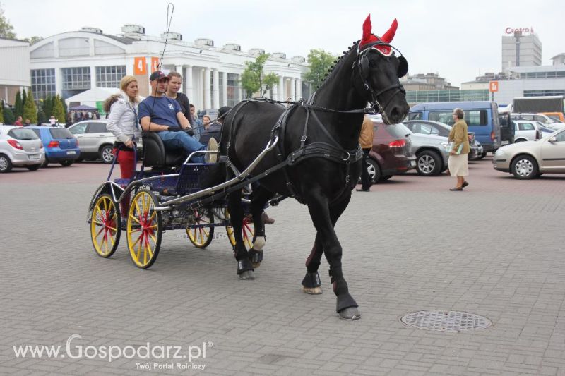 XXVI Krajowa Wystawa Zwierząt Hodowlanych - sobota i niedziela