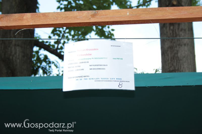 XX Targi Rolnicze Lubniewice - zwierzęta