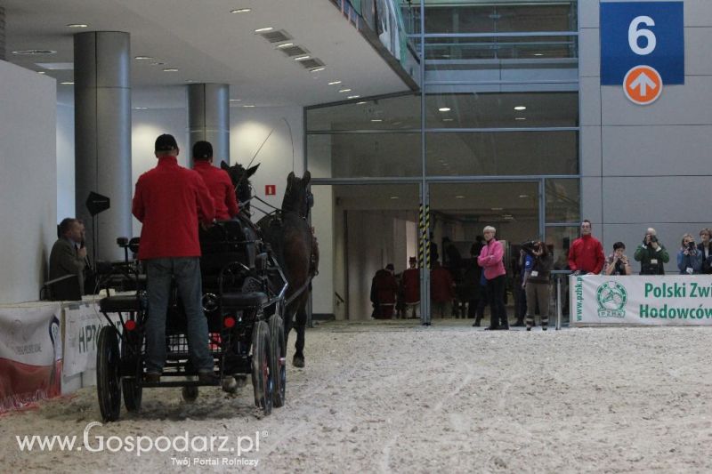 CAVALIADA 2013 w Poznaniu