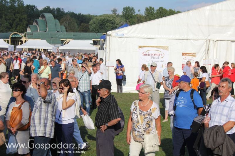 Świętomięs Polski w Chorzowie