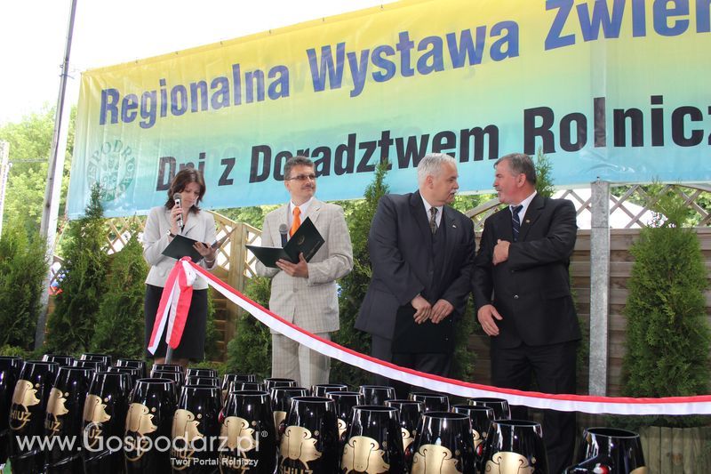 XVIII Regionalna Wystawa Zwierząt Hodowlanych i Dni z Doradztwem Rolniczym w Szepietowie - Sobota