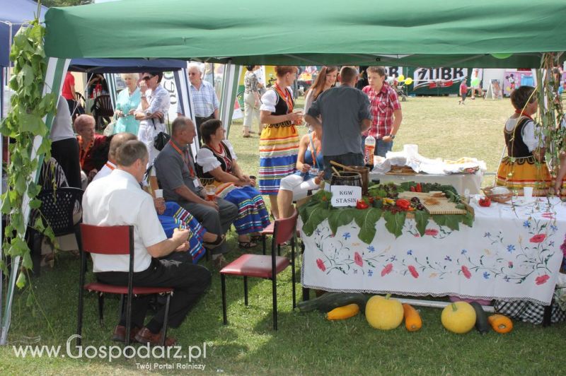 Festiwal Wieprzowiny w Bełżycach