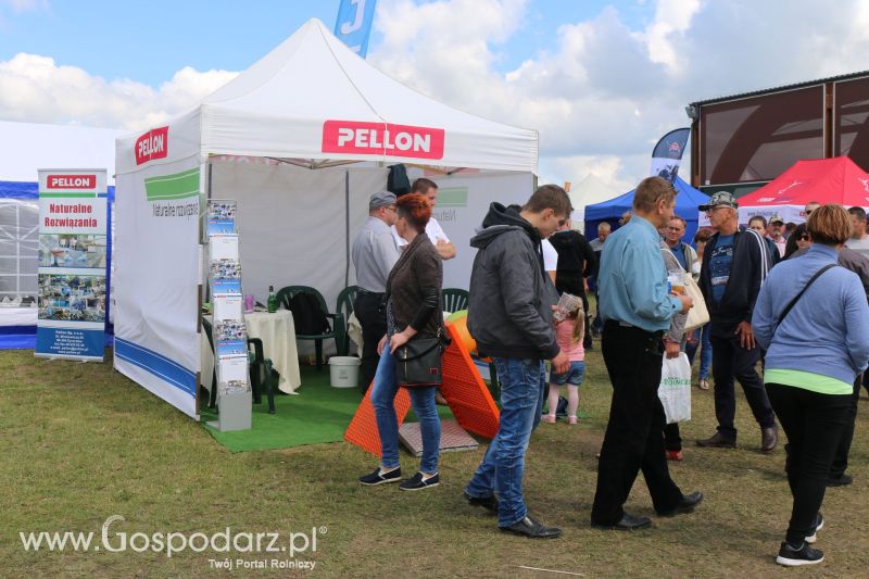 AGRO-TECH Minikowo 2017 (niedziela)