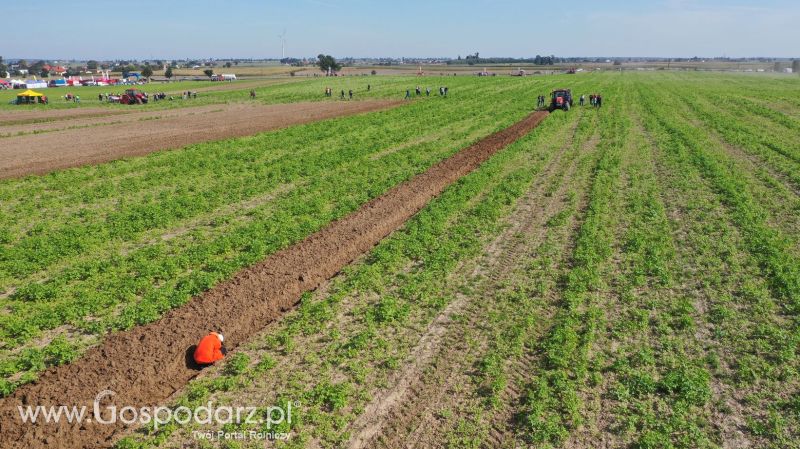 VII Wojewódzki Konkurs Orki z firmą INTER-VAX