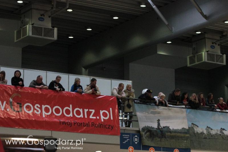 CAVALIADA 2013 w Poznaniu