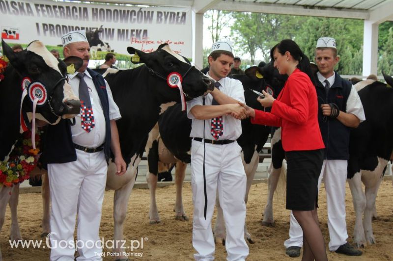 Prezentacja Championów na VII Ogólnopolskiej Wystawie Bydła Hodowlanego w Sielinku 2012