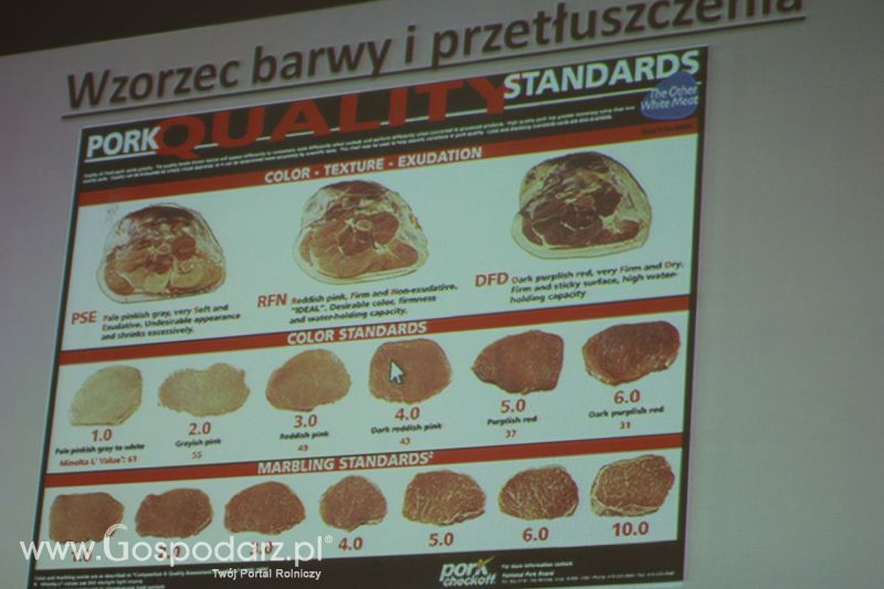 Festiwal Wieprzowiny w Bełżycach - sobota