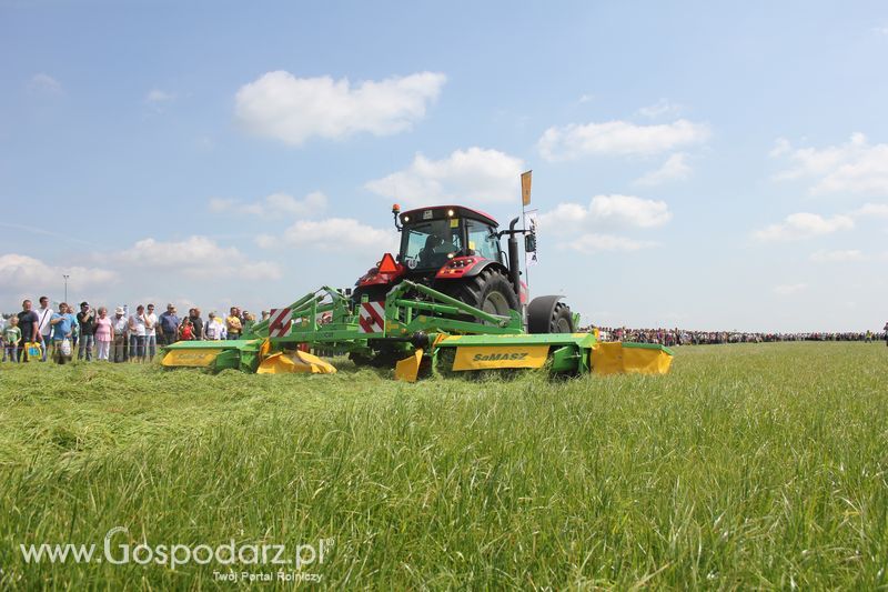 Zielone Agro Show pokaz maszyn rolniczych