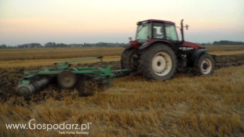 Talerzowane 2013 