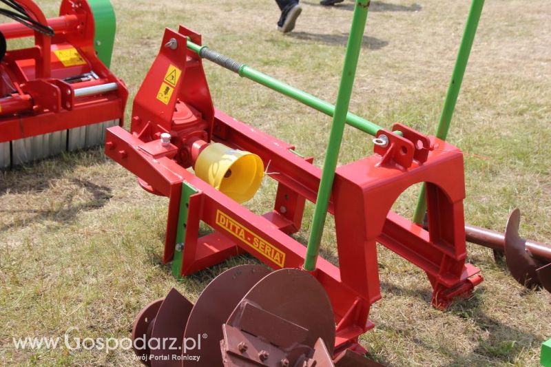 Ditta-Seria na Opolagrze 2013