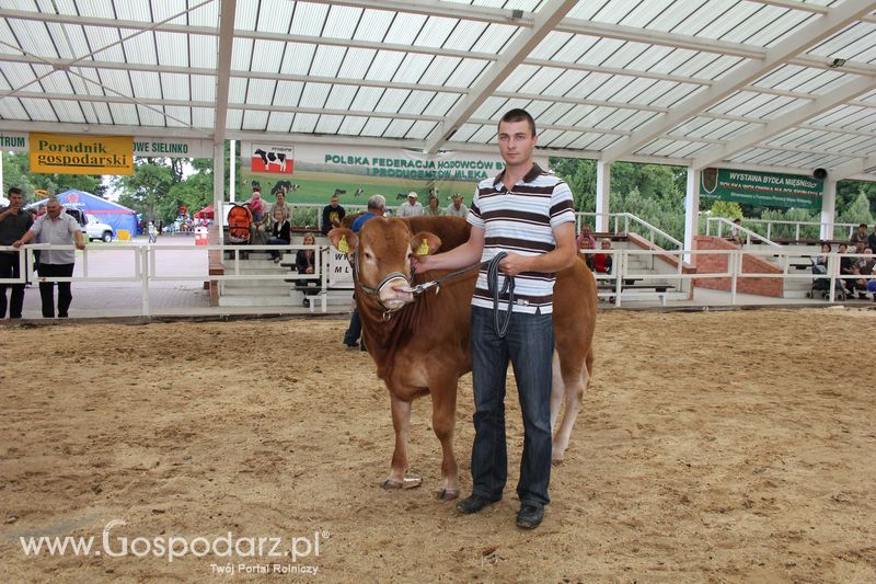 Czempioni XVII Regionalnej Wystawy Zwierząt Hodowlanych Sielinko 2011