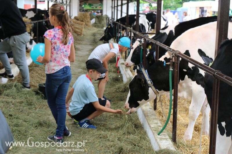 Regionalna Wystawa Zwierząt Hodowlanych i Dni z Doradztwem Rolniczym w Szepietowie 2017