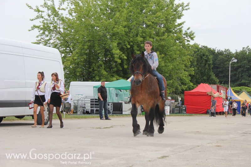 Wielkopolskie Targi Rolnicze „Sielinko 2011”  - Sobota
