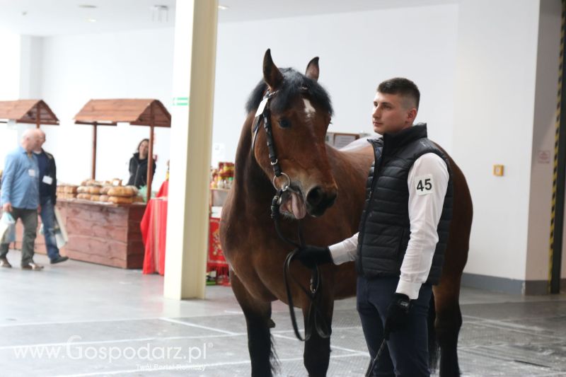 Krajowa Wystawa Zwierząt Hodowlanych w Poznaniu 2017 (sobota, 6 maja)