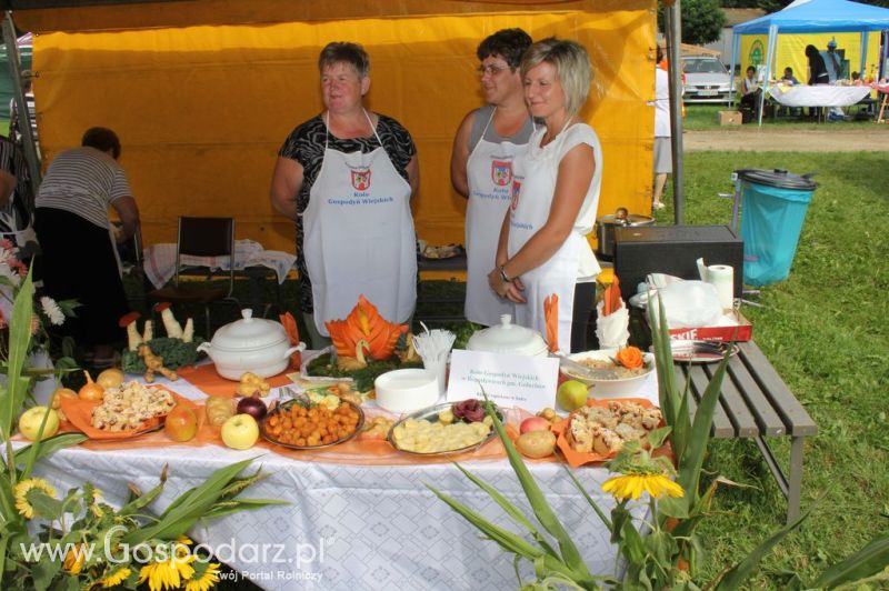 XIX Krajowe Dni Ziemniaka w Marszewie