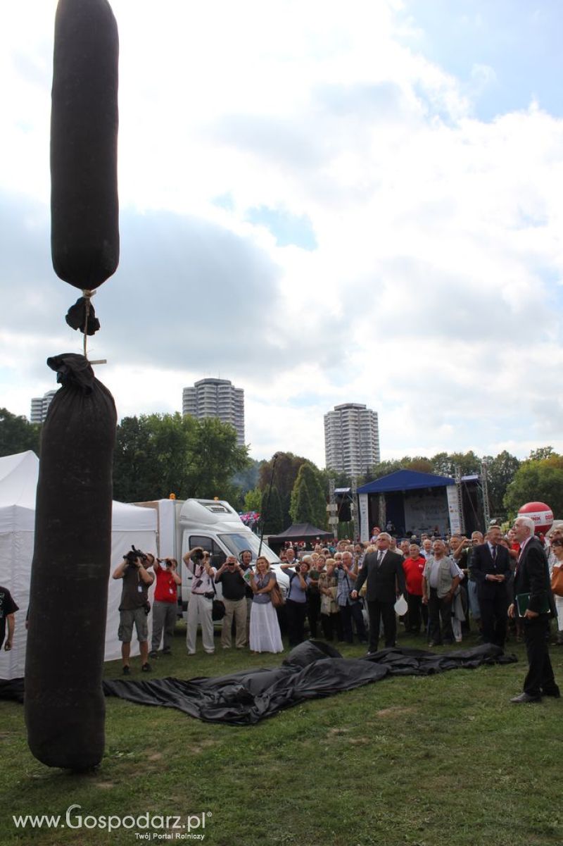 Świętomięs Polski w Chorzowie