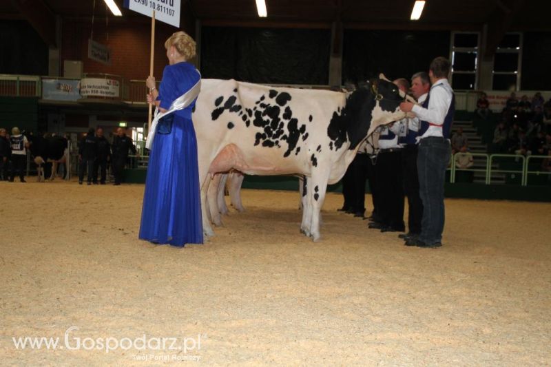 Wystawa  Blickpunkt Rind 2013 w miejscowości Paaren/Glien (Niemcy)